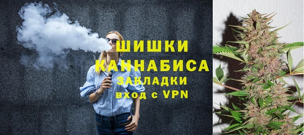 шишки Лабытнанги