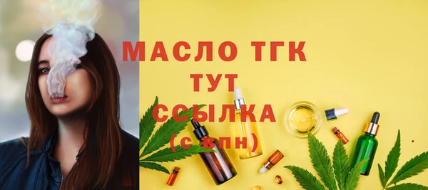 шишки Лабытнанги