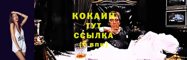 шишки Лабытнанги