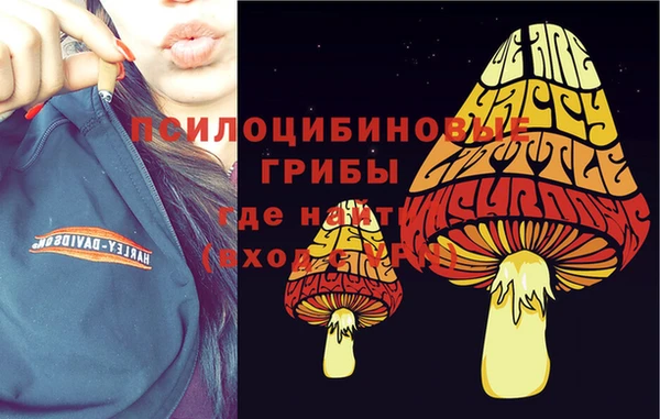 шишки Лабытнанги