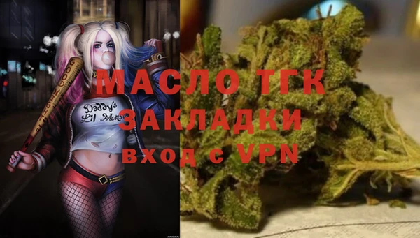 шишки Лабытнанги