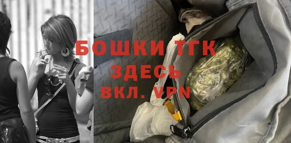 шишки Лабытнанги