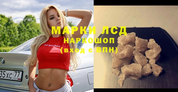 шишки Лабытнанги