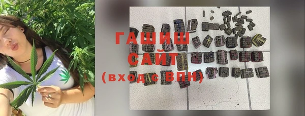 шишки Лабытнанги