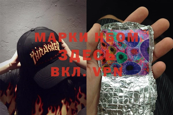 шишки Лабытнанги
