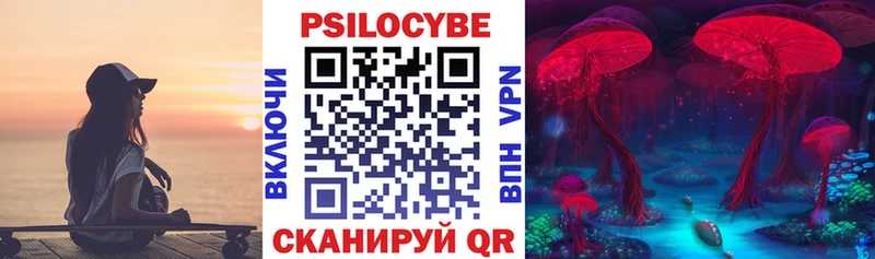 Галлюциногенные грибы мицелий  Купить  Заволжье 