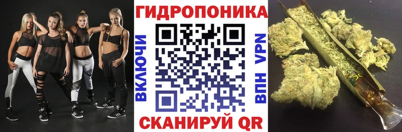 Шишки марихуана MAZAR  Купить где  Заволжье 